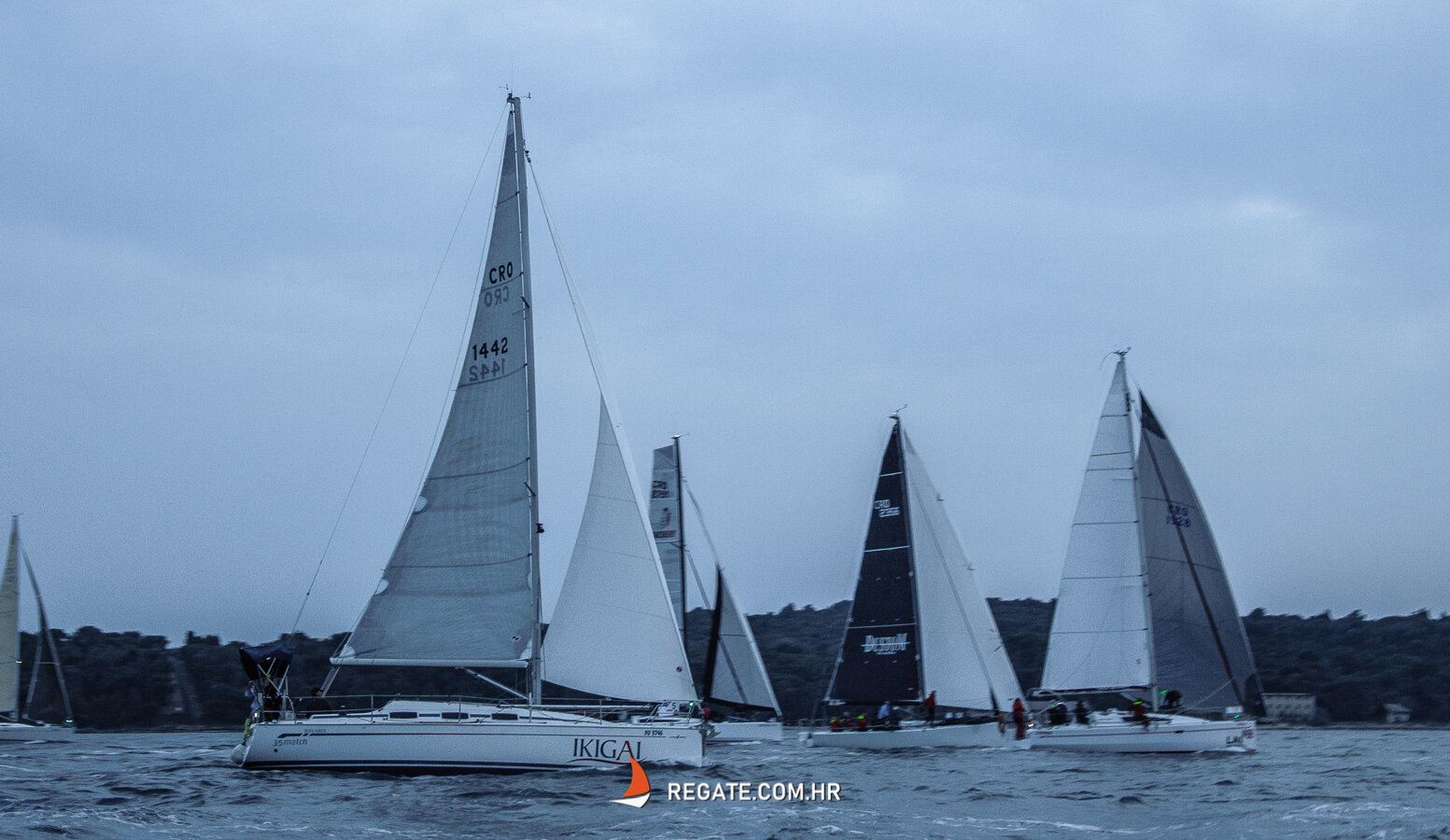 Full Moon Sailing Spectacle 2022