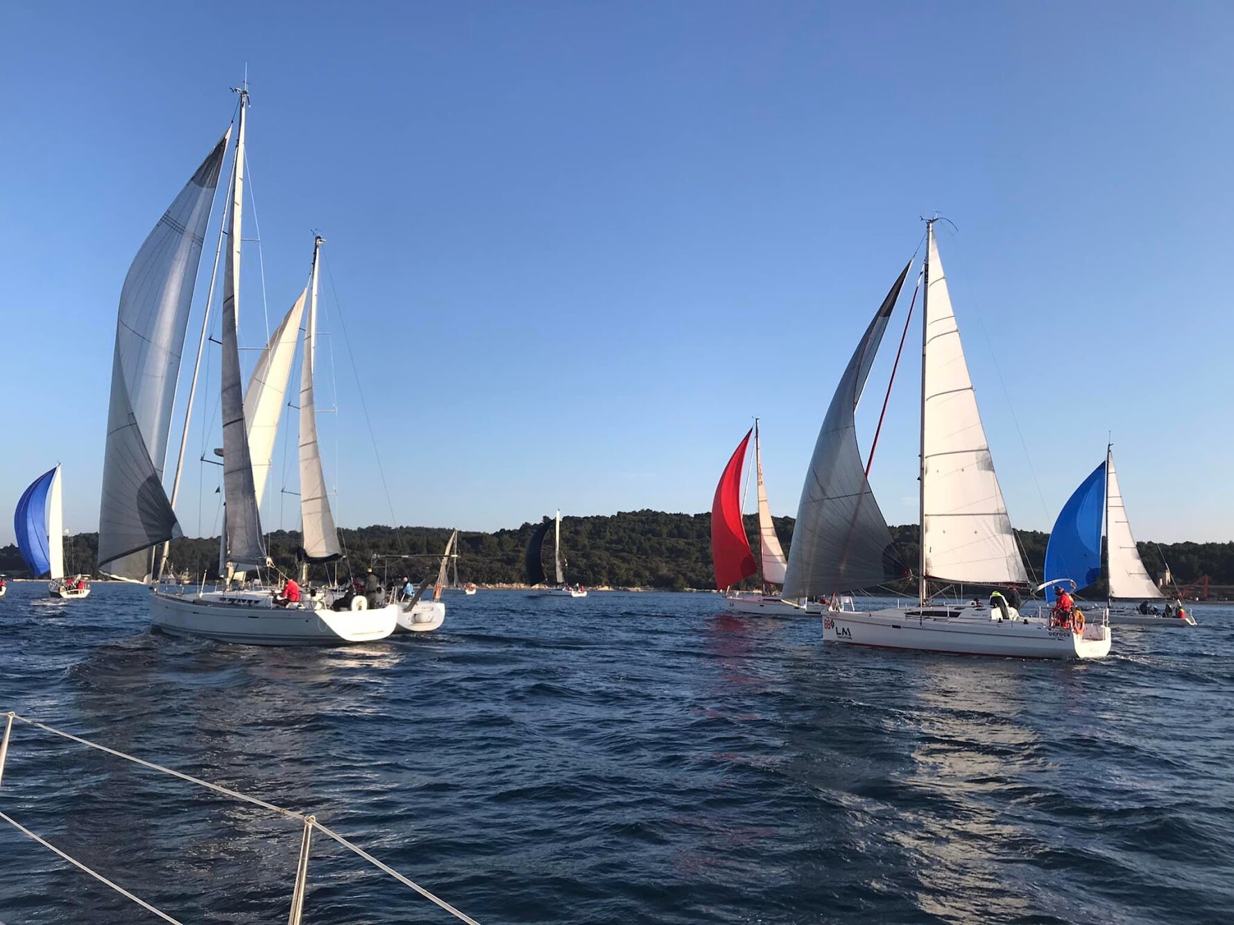 Start regate, flota pod spinakerima u pulskoj luci