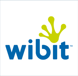 Wibit slika logo
